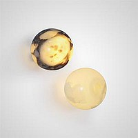 BONN WALL NEPHRITE